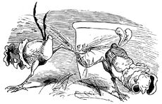 Hahnenkampf sw 06.jpg